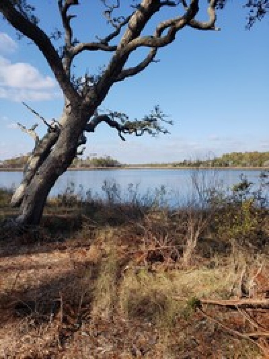 File: Boathouse Creek Walking Trails in Cedar Point is a 56-acre waterfront park.