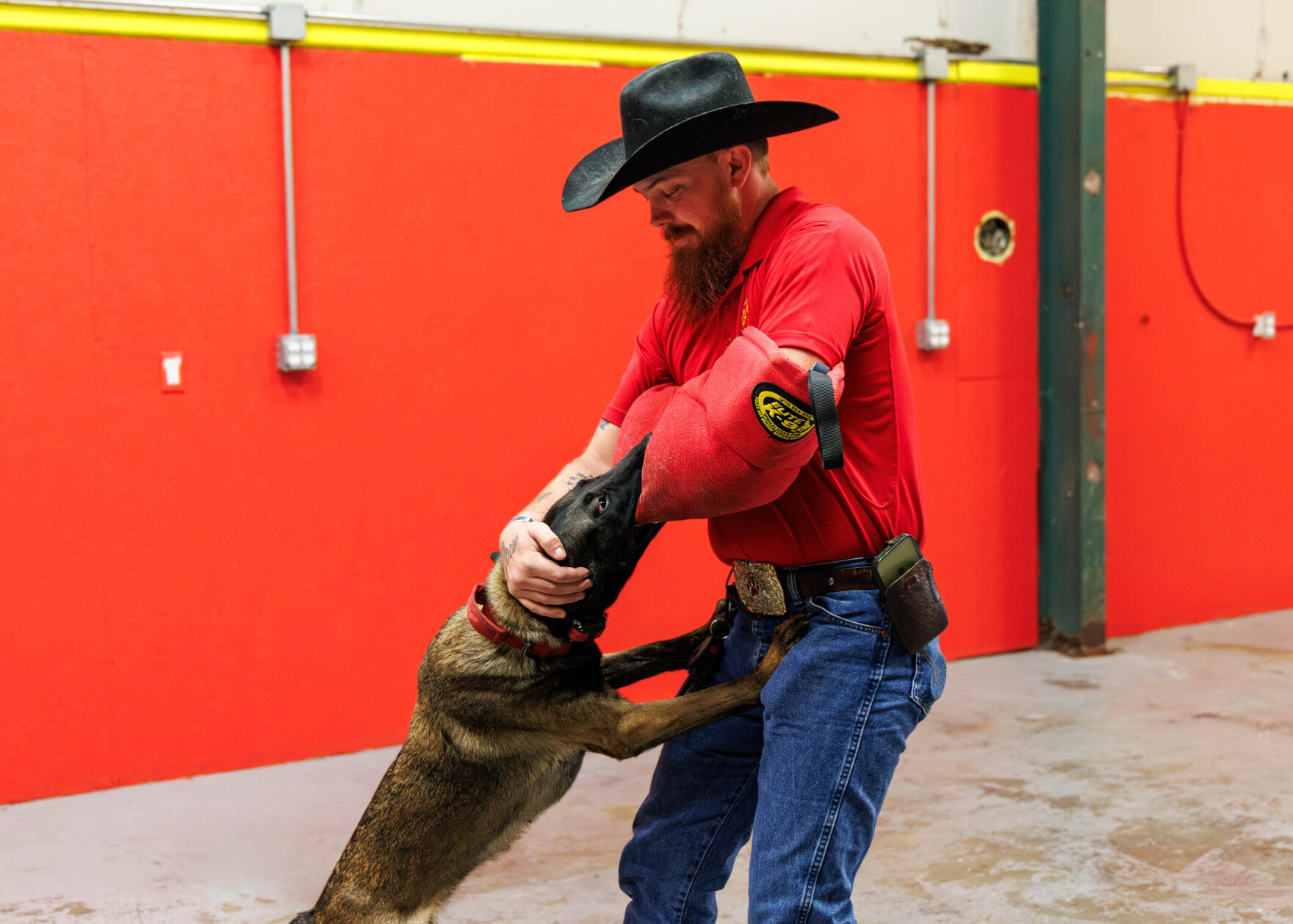 Devildog Canine in Normal trains dogs that help veterans in life after ...