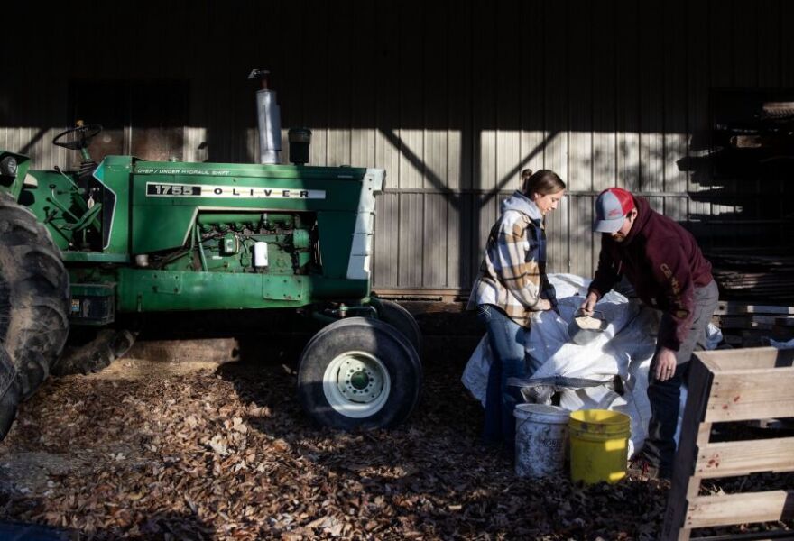 Katherine De Boef and her husband Ben De Boef work together to put chicken feed into buckets before heading out for their morning farm chores at their family farm in Montezuma, Iowa on Thursday, November 13, 2025. Ben and Katherine grow corn and soybeans as well as raise pigs, chickens, goats and cows for meat on his grandfather’s property. They’ve had a hard time leasing additional land to expand their operation.