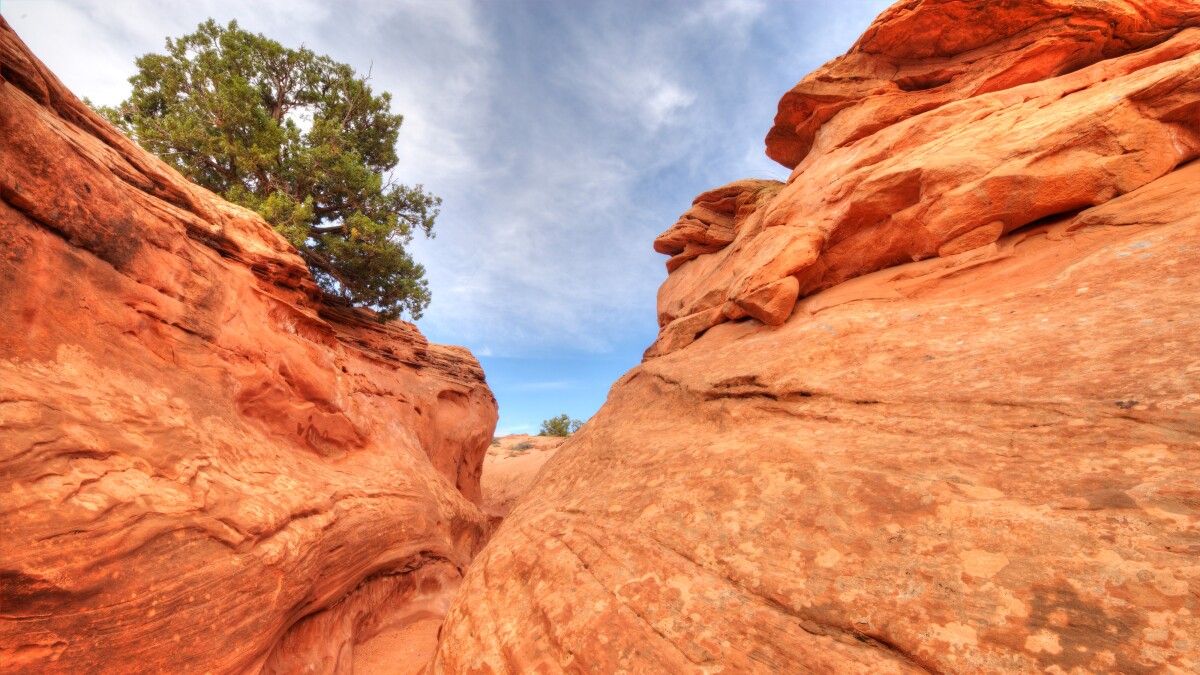 Researchers urge Congress not to scrap Grand Staircase-Escalate management plan