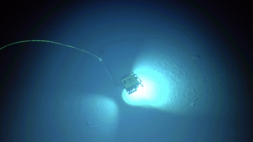 Submersible