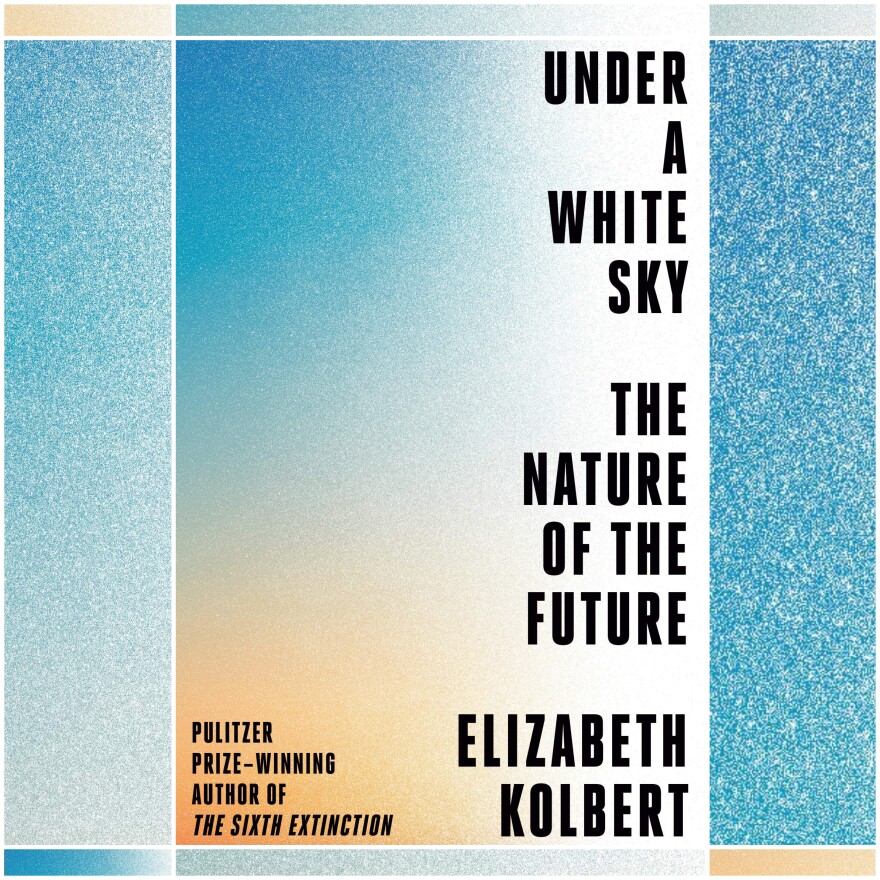 Book cover for "Under a White Sky"