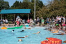 Dogs paddle in the pool for the final swim of the season at the Leawood Aquatic Center in September 2025. Area pools are offering area canines a chance to beat the heat before the water is drained at the end of the season.