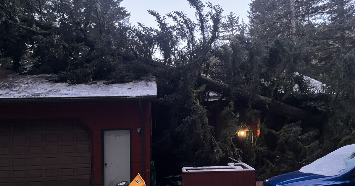 High winds cause power outages, and house damage around Kodiak