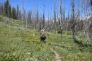 A horse and rider look at the mountains in western Wyoming. 
