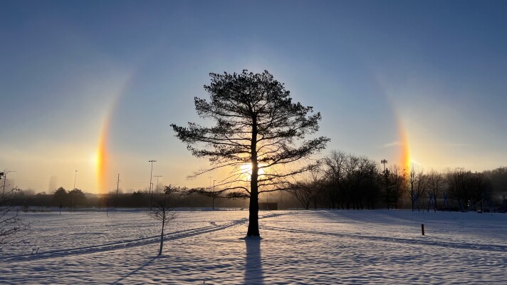 A sundog frames a tree on Dec. 4, 2025.