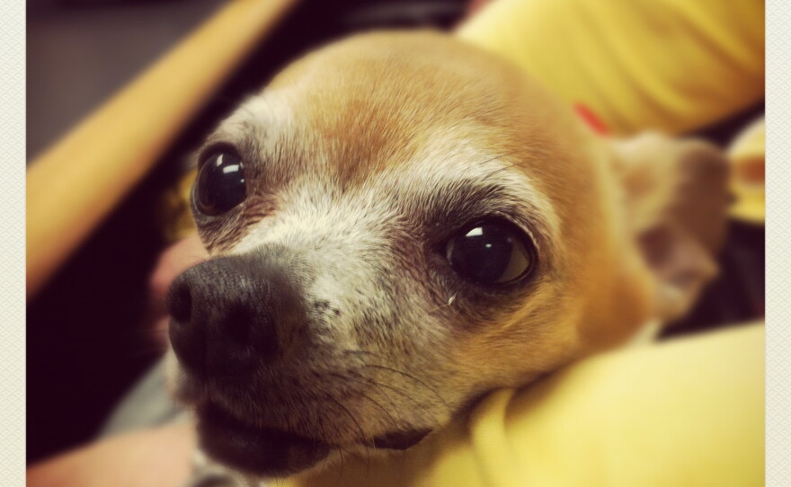 Peanut!