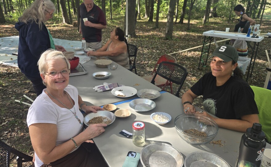 After being threshed and winnowed, the rice grains needs to be cleaned by hand with any remaining husks removed.