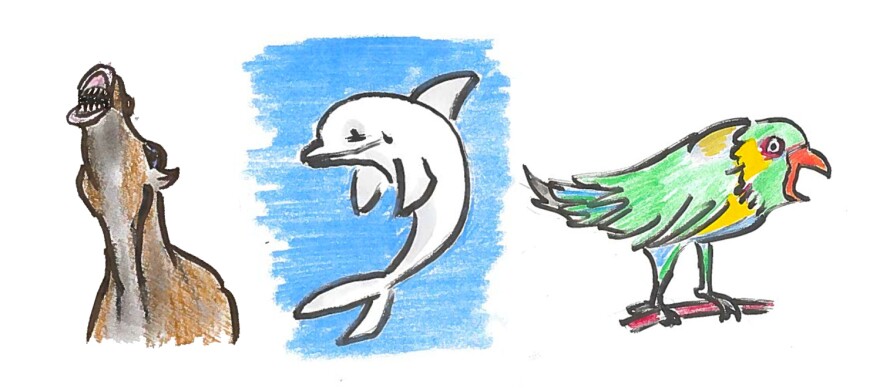 Horses, dolphins and the green-rumped parrotlet all have name-like calls.
