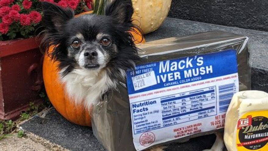 livermush-festival-dog-credit-cleveland-county-tourism.jpg