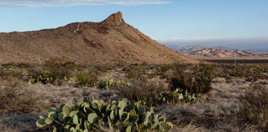The Lone Mountain trail will cover three-miles of scrubby Chihuahuan Desert landscape.