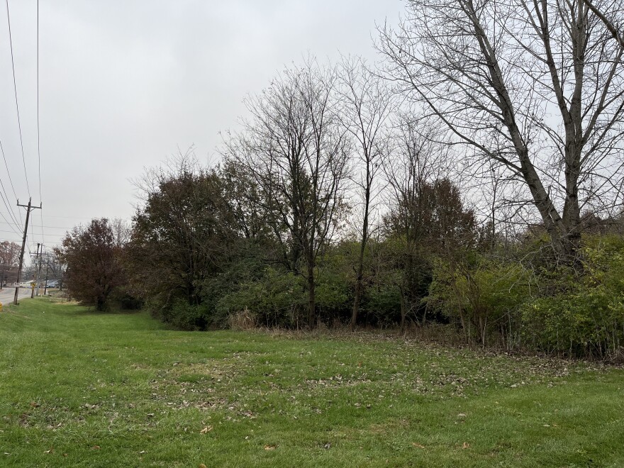The proposed site of the data center is currently wooded and owned by the city.