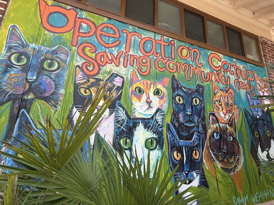 Cats featured in the mural by Samm Wheman. (Genesis Trujillo/WUFT News)