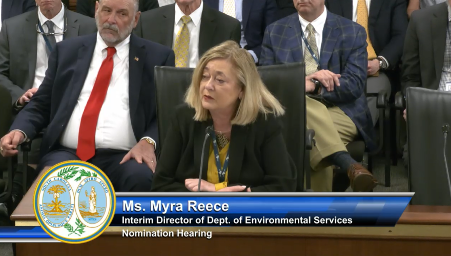 Myra Reece, Gov. Henry McMaster's choice to lead the new state Department of Environmental Services, goes before the S.C. Senate Agriculture and National Resources Committee for her first confirmation hearing on Tuesday, April 8, 2025, in Columbia, S.C.