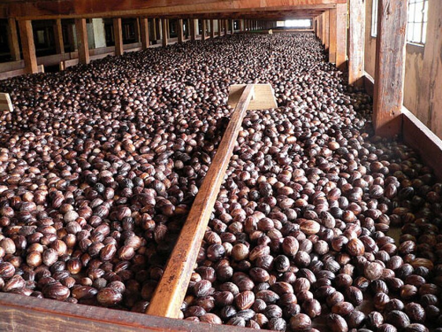 Nutmeg processing plant in Gouyave, Grenada.
