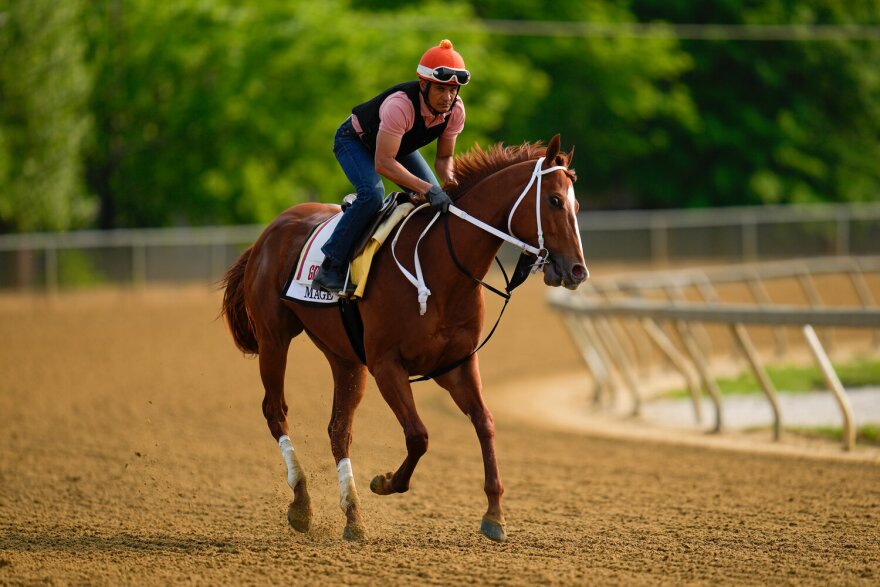 Mage prepping for Preakness