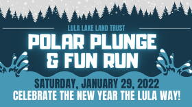 Polar Plunge banner