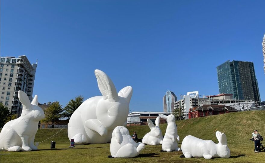 Giant bunnies are back in Charlotte, prompting selfies and ...