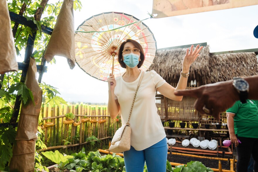 <strong></strong>Geraldine Roman, the first openly transgender person to be elected to the Philippine Congress, visits a vegetable garden in Bataan. She leads a program called Oh My Gulay — gulay is Tagalog for "vegetables." It encourages people to grow vegetables to eat and sell, and is aimed especially at those who have lost income as a result of the pandemic.