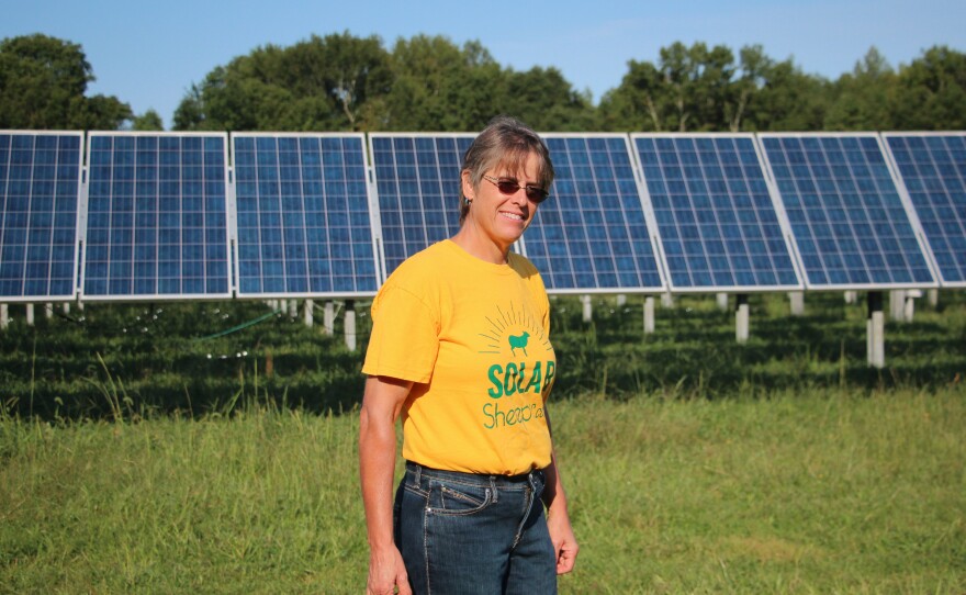 I recently saw an article about how this solar farm is going to take away food for people," Julie Bishop says. "I thought to myself, since when is lamb not food?"