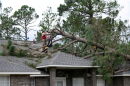 Men on a roof work to clean up pine tree that fell on a house