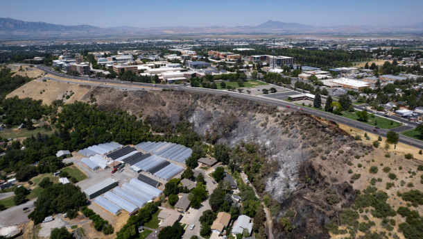 A scorched hillside shows the aftermath of the Canyon Road Fire in Logan. Officials say the fire was caused by spontaneous combustion.