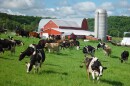 Franklin Foods in Enosburg Falls has been making cream cheese with Vermont milk since 1899. The plant will close next month.