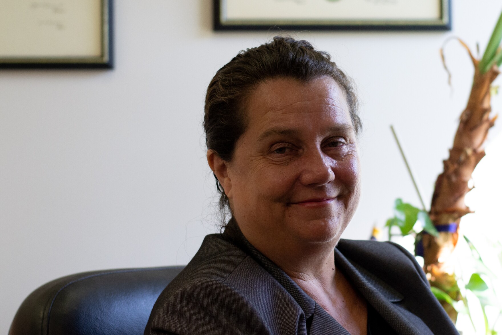 Law of the land series the Rockingham County Commonwealth's Attorney