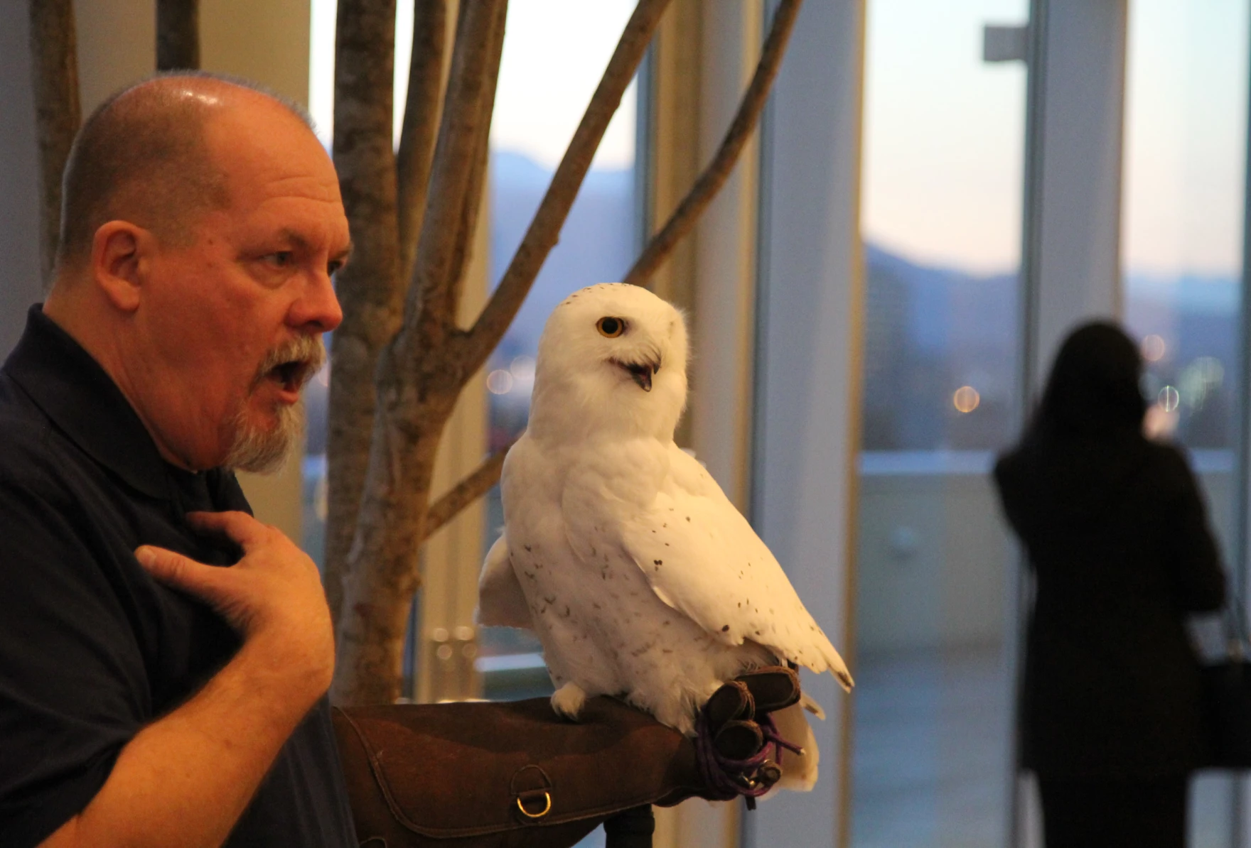 The Anchorage Weekender: bird meet-and-greets, a collector convention and 6 more local events