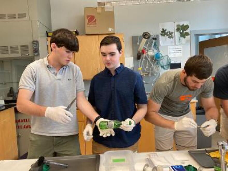 Students at Washington & Lee are learning how to fight crime in the lab.