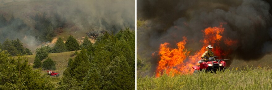 Woody encroachment — such as the eastern red cedar trees seen here — is rapidly displacing grassland birds, wildlife and grazing areas across the Great Plains. Prescribed fire treatments mimic the fires that were once a common feature across this expansive fire-dependent ecosystem.