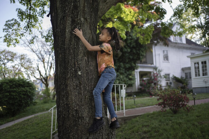 Caydence Manson climbs a tree while playing in her relative's front yard after school in Hartford, Conn., on Wednesday, May 25, 2022. Research and experts say many of the same racist factors that afflict Black peoples' health from cradle to grave - including redlining, discriminatory housing practices, lack of access to health care and environmental toxic exposures - are significant drivers of asthma, which both she and her brother have.