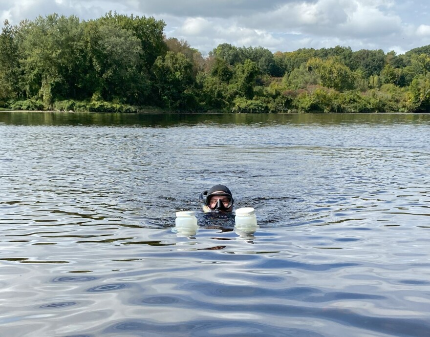 A man swims in a river holding two white jars and wearing snorkel mask and tube.