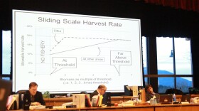 The Sitka sac roe herring fishery operates just beyond the windows where the Board of Fish is seated. The industry wants the current management plan to stay in place, while a local cohort calling themselves the “Herring Rock Water Protectors” has aligned with Sitka Tribe of Alaska for more conservative management. (Emily Kwong/KCAW photo)