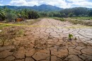 A layer of mud from recent flooding covers farm land near Otake Camp. (April 1, 2026)