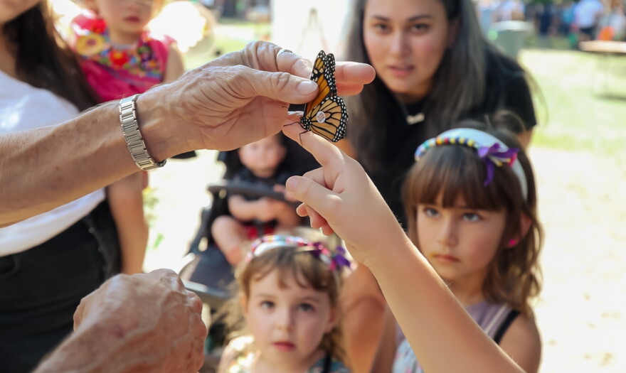 Butterflies at the Monarch Butterfly and Pollinator Festival are tagged for identification as part of the educational, immersive experience at the event.