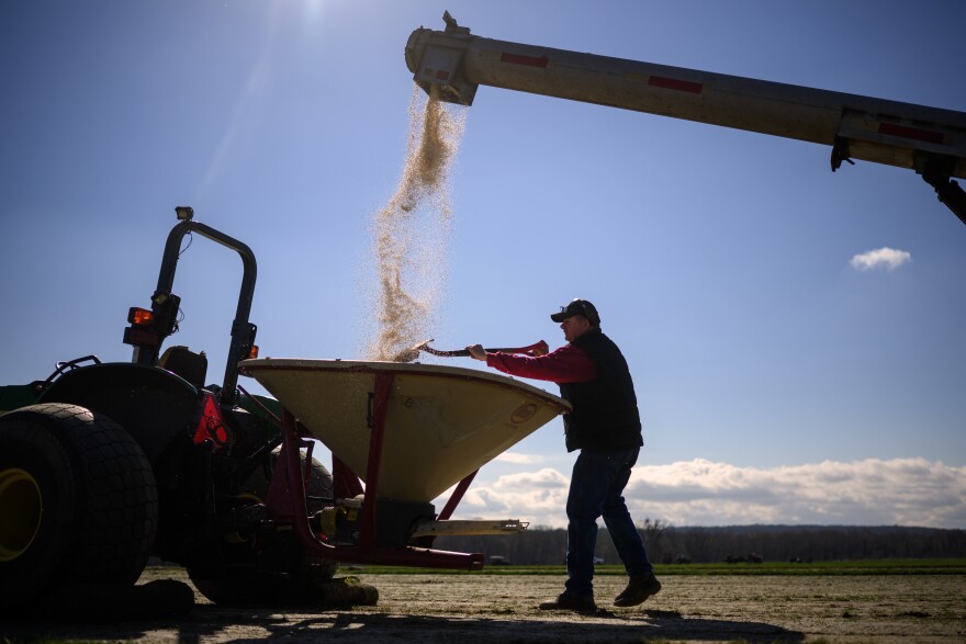 Билл Коллинз (вверху) готовится внести удобрения на свой урожай дерна в Fairweather Growers. Ферма принадлежала семье Коллинза на протяжении четырех поколений на протяжении более 100 лет. Ферма в Роки-Хилле, штат Коннектикут, выращивает различные сельскохозяйственные культуры на 400 акрах сельскохозяйственных угодий, где, по словам Билла, для работы оборудования фермы требуется около 1500-2000 галлонов топлива в неделю. По словам Коллинза, из-за роста цен на топливо и удобрения из-за войны в Иране они уже решили сократить производство в этом году на 20%, чтобы попытаться сохранить и без того небольшую норму прибыли.