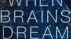 When Brains Dream Book Cover