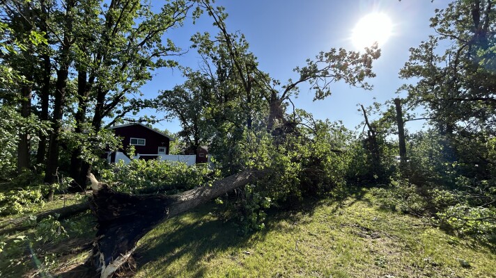 The sun rose on extensive damage in Bemidji on June 21, 2025. Destructive storms with wind gusts over 100 miles per hour moved through the area in the early morning hours.