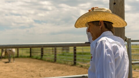 Nickles watches over one horse pen as they walk over to their food. 