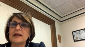 State Sen. Sally Turner, R-Beason, says her six terms as Logan County Clerk contributed to her work on legislation that would make changes to how election preparation and procedures are carried out.