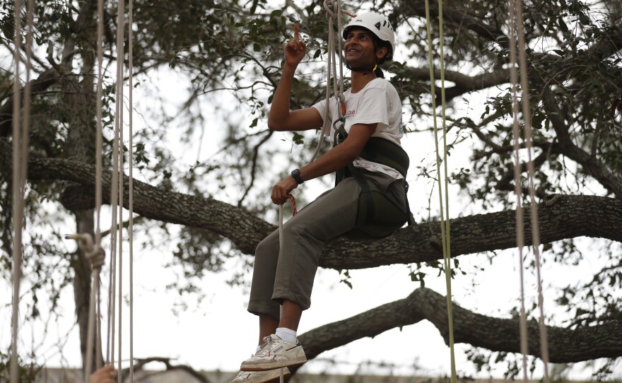 Festival attendees participate in tree climbing during the 2022 Publix Tampa Bay Collard Festival in St. Petersburg, Florida, on Saturday, February 19, 2022. Photo by Octavio Jones for WUSF