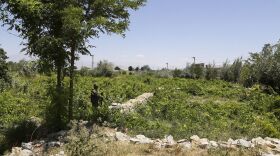 Zakeria Hashimi/AFP via Getty Images