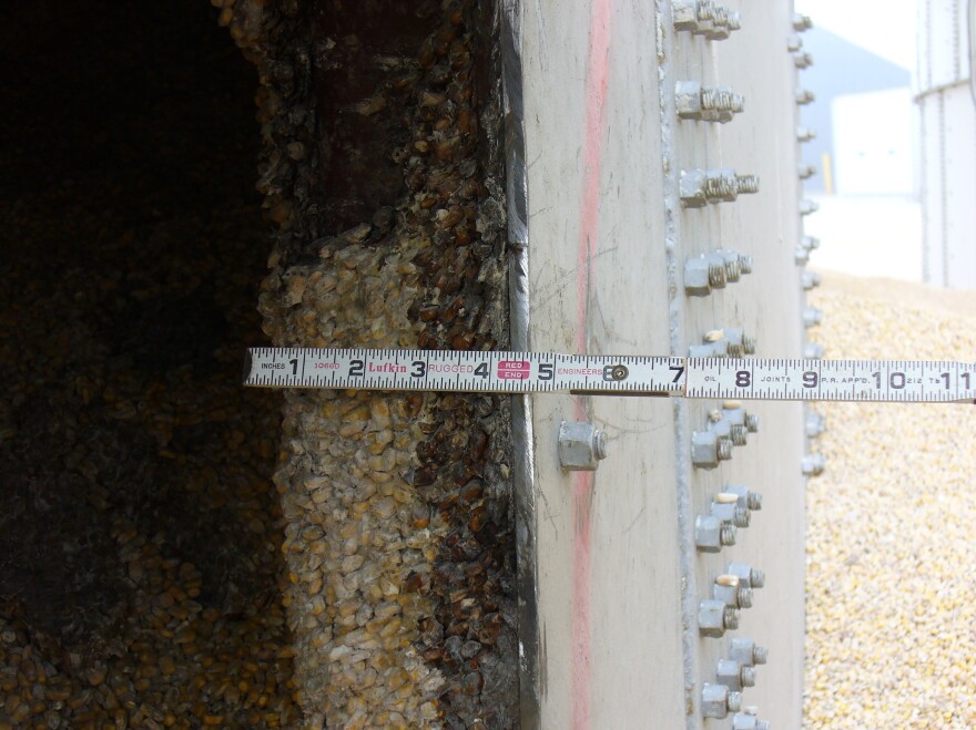 OSHA investigators took this photo of crusted corn, also known as bridged corn, stuck to the side of Haasbach's Bin No. 9 shortly after the July 2010 deaths. Working under bridged corn is prohibited by federal law because it can peel away without warning and trap workers.