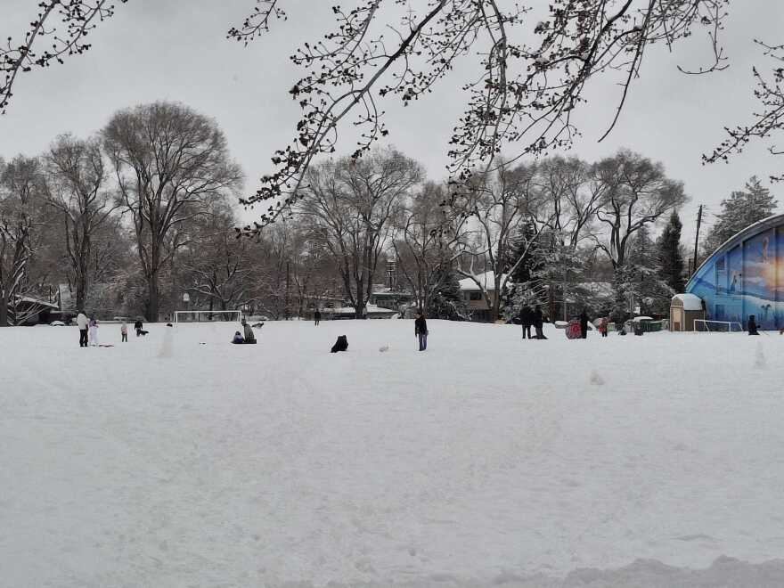 Picture of a park covered in snow with trees and people in the background