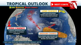 Busy Tropics