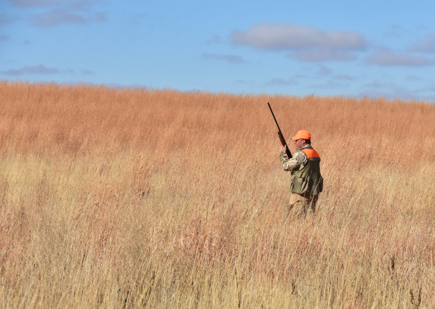 A man in hunting gear holds a rifle in a yellow field of tall grasses.