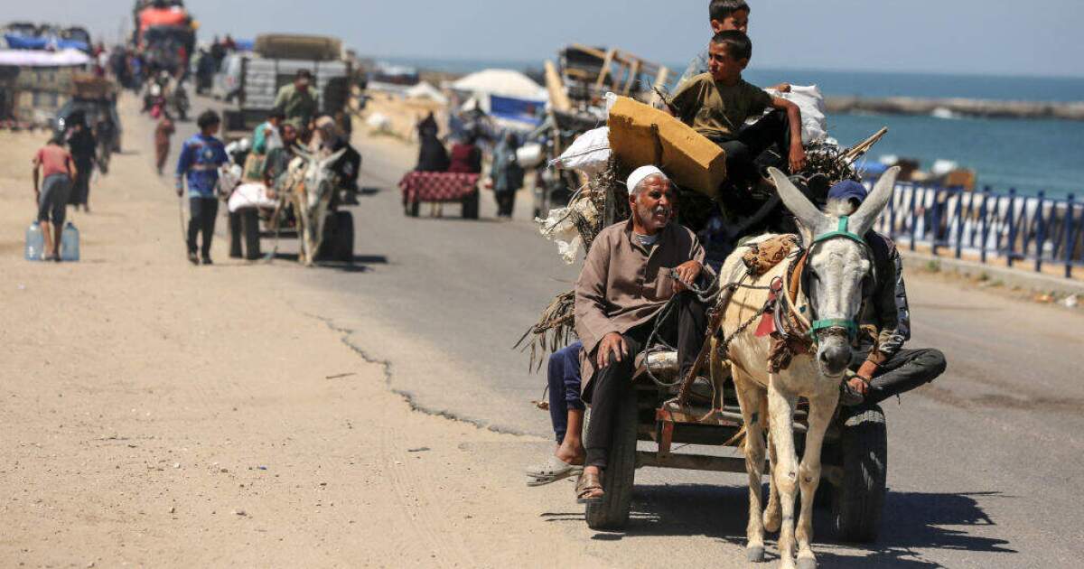 Palestinian civilians on their daily fight for survival | WUSF