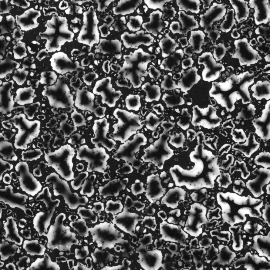 dew photogram