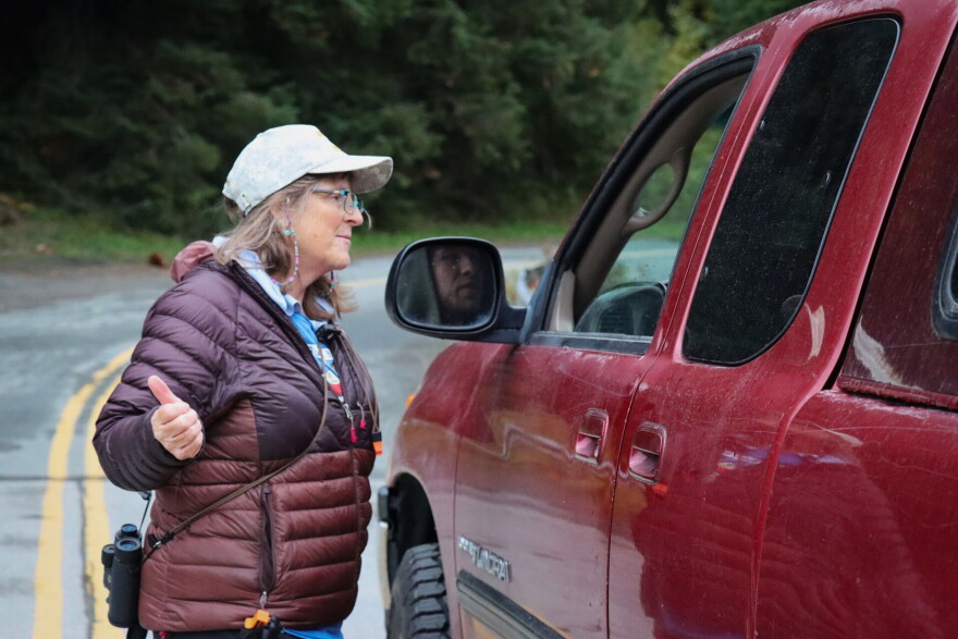 Sue Rakes speaks with a driver as several brown bears approach the bridge over the Chilkoot River.